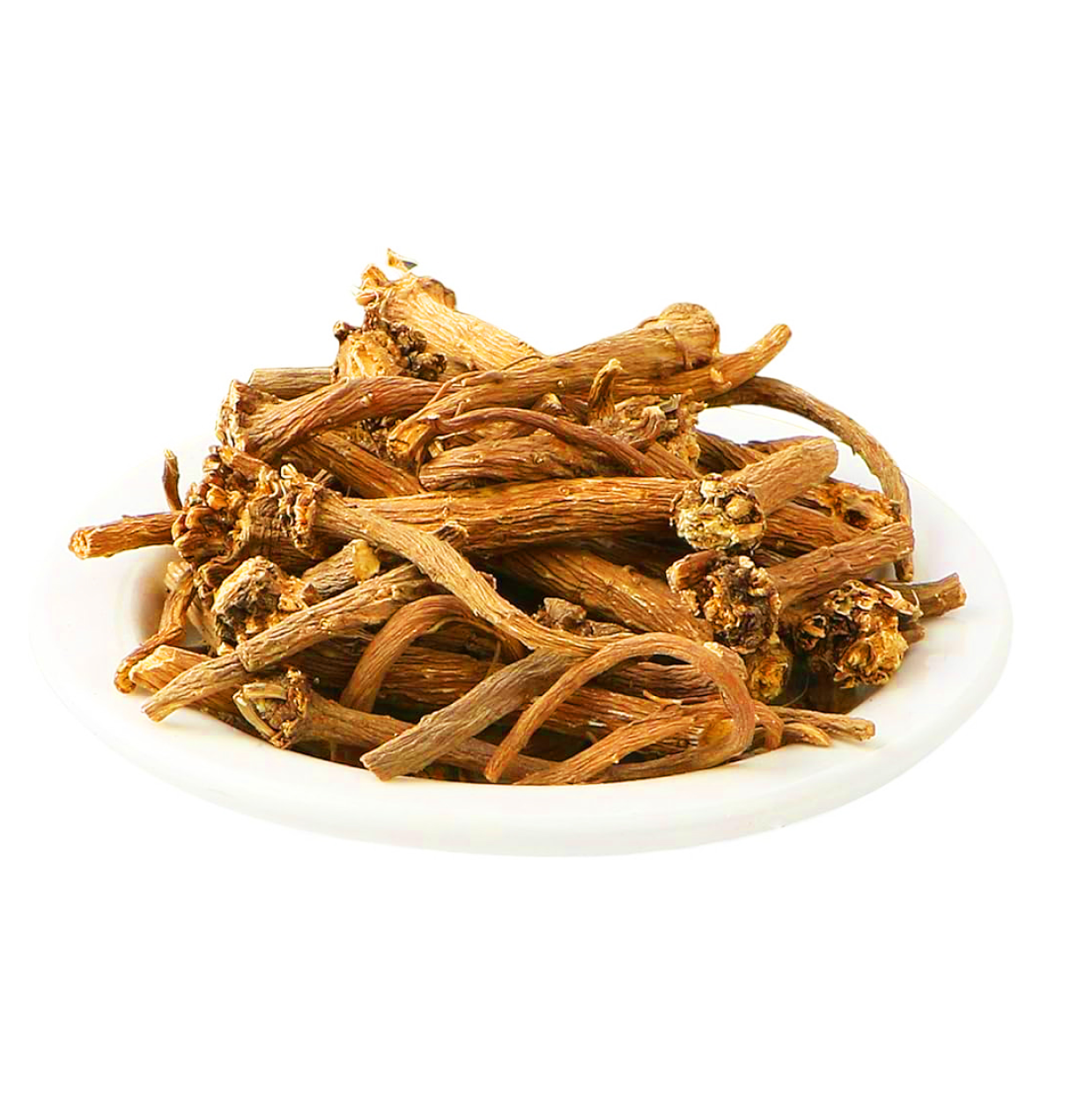 pyrethrum-root-aqarqarha